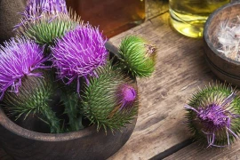 Những loại trà giúp giải độc cơ thể bạn nên biết