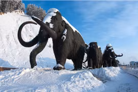 Ngắm cảnh tuyết trắng phủ khắp các thành phố của Nga