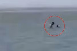 Cặp đôi “mây mưa” giữa biển Colombia sẽ bị xử phạt nặng