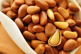 Hạt thông ăn Tết và những lợi ích sức khỏe có thể bạn chưa biết