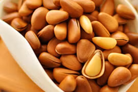 Hạt thông ăn Tết và những lợi ích sức khỏe có thể bạn chưa biết