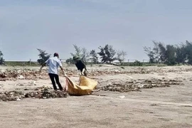 Nam Định: Phát hiện thi thể nam giới đang phân huỷ trôi dạt vào bờ biển