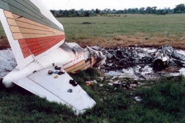 Điểm loạt vụ tai nạn thương tâm vì máy bay va chạm với chim