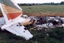 Điểm loạt vụ tai nạn thương tâm vì máy bay va chạm với chim