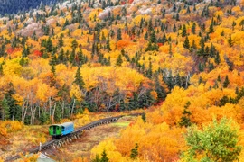 Đẹp nao lòng mùa thu lá vàng ở các nước trên thế giới