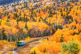 Đẹp nao lòng mùa thu lá vàng ở các nước trên thế giới