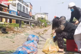 Ảnh: 15 tấn rau củ của nông dân Hải Dương hết veo sau vài tiếng 'giải cứu'