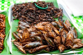 Những món ăn từ côn trùng của Lào khiến du khách “khóc thét”