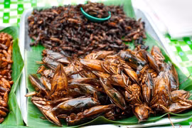 Những món ăn từ côn trùng của Lào khiến du khách “khóc thét”