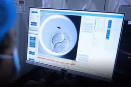 Bị cấy phôi thai nhầm, cặp vợ chồng được đền 2,2 tỷ