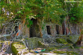 Lạnh gáy trước khung cảnh trên đảo “ma” giữa Ấn Độ Dương