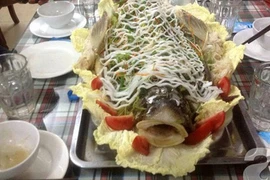 Cá anh vũ, nước mắm Nam Ô, rau muống Linh Chiểu… là đặc sản tiến vua thời xưa