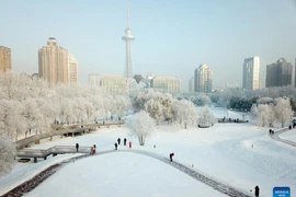 Mờ ảo sương muối phủ trắng Cáp Nhĩ Tân mùa đông