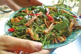 Món gỏi sầu đâu nổi tiếng của người An Giang có gì đặc biệt?