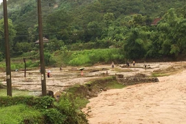Mưa lớn gây lũ quét, cuốn trôi trâu bò ở Sơn La