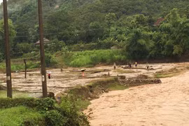 Mưa lớn gây lũ quét, cuốn trôi trâu bò ở Sơn La