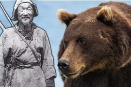 Giải mã “sự sùng bái gấu” của người Siberia – Nga