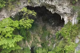 Phát hiện hố sụt khổng lồ chứa cả rừng cây cổ thụ bên dưới