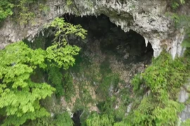 Phát hiện hố sụt khổng lồ chứa cả rừng cây cổ thụ bên dưới