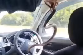 Đang lái xe, cặp đôi phát hiện rắn độc trườn qua chân