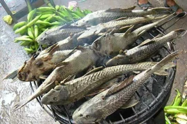 Về miền Tây, nhớ thử các món ngon độc đáo từ cá lau kiếng