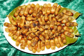 Những món sâu béo nhung nhúc, đặc sản kinh dị ở Việt Nam