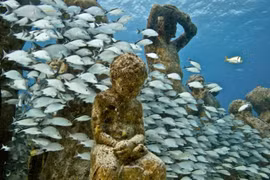 Kinh ngạc công viên điêu khắc kỳ lạ dưới đáy đại dương