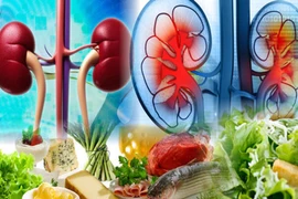 5 thực phẩm đại bổ nên ăn hàng ngày để thận khỏe mạnh 