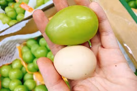 Loại nho to hơn trứng gà: Giá 7 triệu/chùm, có tiền khó mua