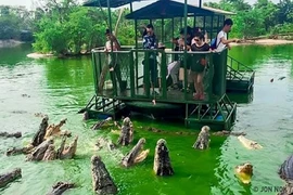 Có gì trên những hòn đảo nguy hiểm nhất hành tinh?