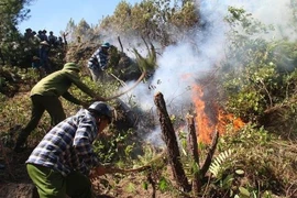 Dự báo thời tiết 7/6, nắng nóng kéo dài, Trung Bộ đề phòng cháy rừng