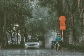 Thời tiết hôm nay (15/8): Bắc Bộ có nơi mưa to đến rất to