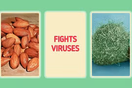 10 thực phẩm giúp tăng cường khả năng miễn dịch tự nhiên