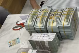  Đã thu giữ hơn 5300 tỷ đồng vụ Tiktoker Mr.Pips lừa đảo