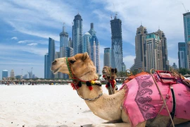 Nín thở trước vẻ đẹp quê hương đội bóng U23 UAE