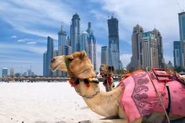 Nín thở trước vẻ đẹp quê hương đội bóng U23 UAE