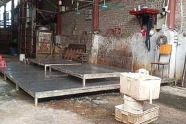 Hà Nội: Nhức nhối nhiều lò mổ không phép ở xã Hải Bối