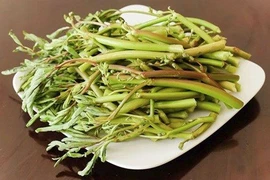 3 thực phẩm phụ nữ nên ăn lúc giao mùa để tăng miễn dịch