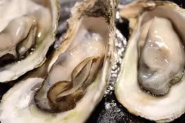 Bụng yếu lại ăn hàu kiểu này, hai chị em nhiễm trùng máu