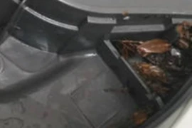 Cuối năm vệ sinh nồi cơm điện, cô gái khóc ngất vì điều này