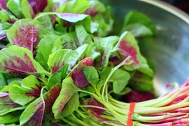 Đây là loại rau trường thọ cực rẻ mà ít người biết 