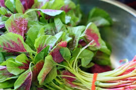 Đây là loại rau trường thọ cực rẻ mà ít người biết 