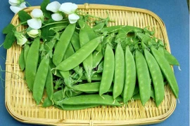 Món ăn giúm chị em xoá tan nếp nhăn, ngày càng trẻ đẹp