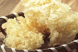 Vì sao nấm tuyết được ví như tổ yến cho người nghèo?