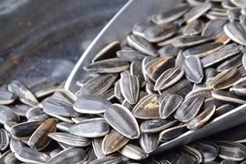 Lưu ý 3 loại hạt hướng dương ăn vào kích thích tế bào ung thư