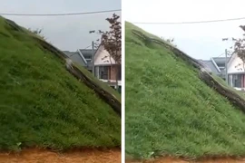 Suýt vỡ tim vì đụng độ “trăn tinh” khổng lồ khi đi dạo