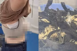 Quần áo lồi lõm bất thường, người phụ nữ khiến hải quan sốc vì...