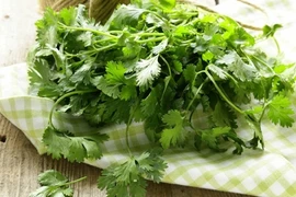 Vì sao đàn ông không nên ăn nhiều rau mùi?