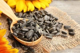 Loại hạt hướng dương gây ung thư, ăn vào hối không kịp 