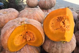 6 thực phẩm là “bảo bối” của mắt, ăn thường xuyên tốt cho thị lực